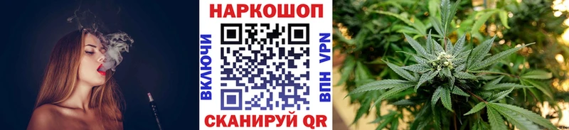 Галлюциногенные грибы Чебаркуль