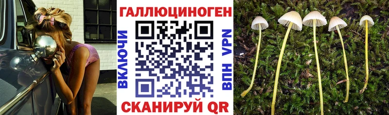 Галлюциногенные грибы ЛСД  ОМГ ОМГ ссылка  Чебаркуль 