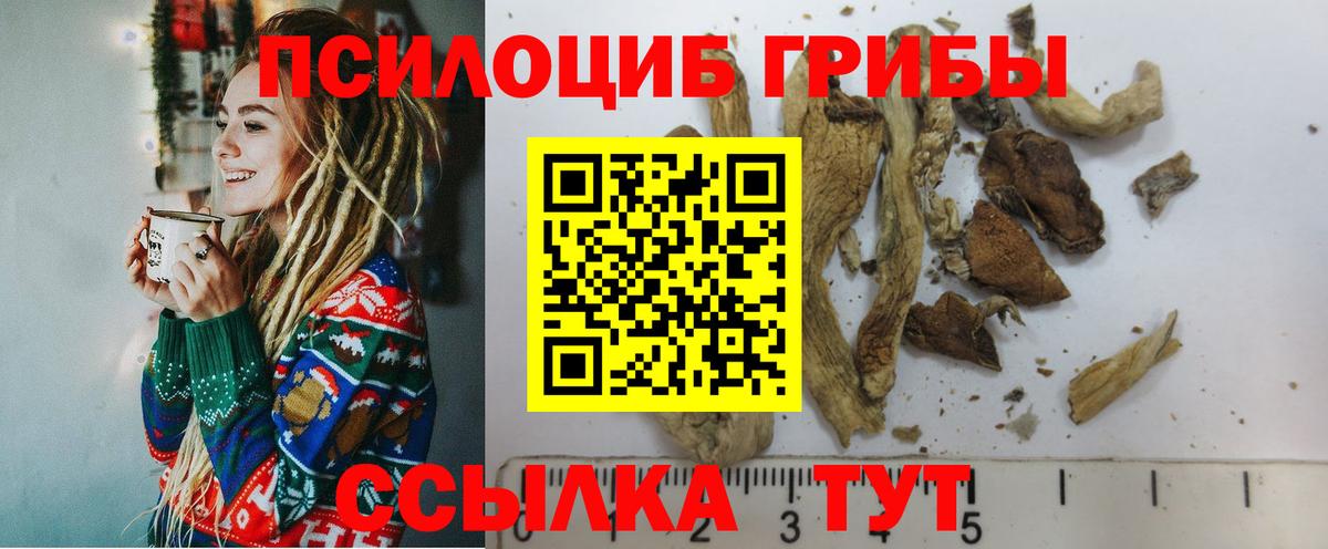 Галлюциногенные грибы прущие грибы Чебаркуль